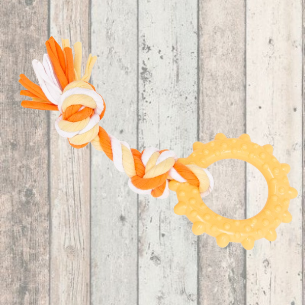 Little & Lively Sun Ring & Rope Toy