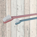 Trixie Dog Toothbrush Set of 4