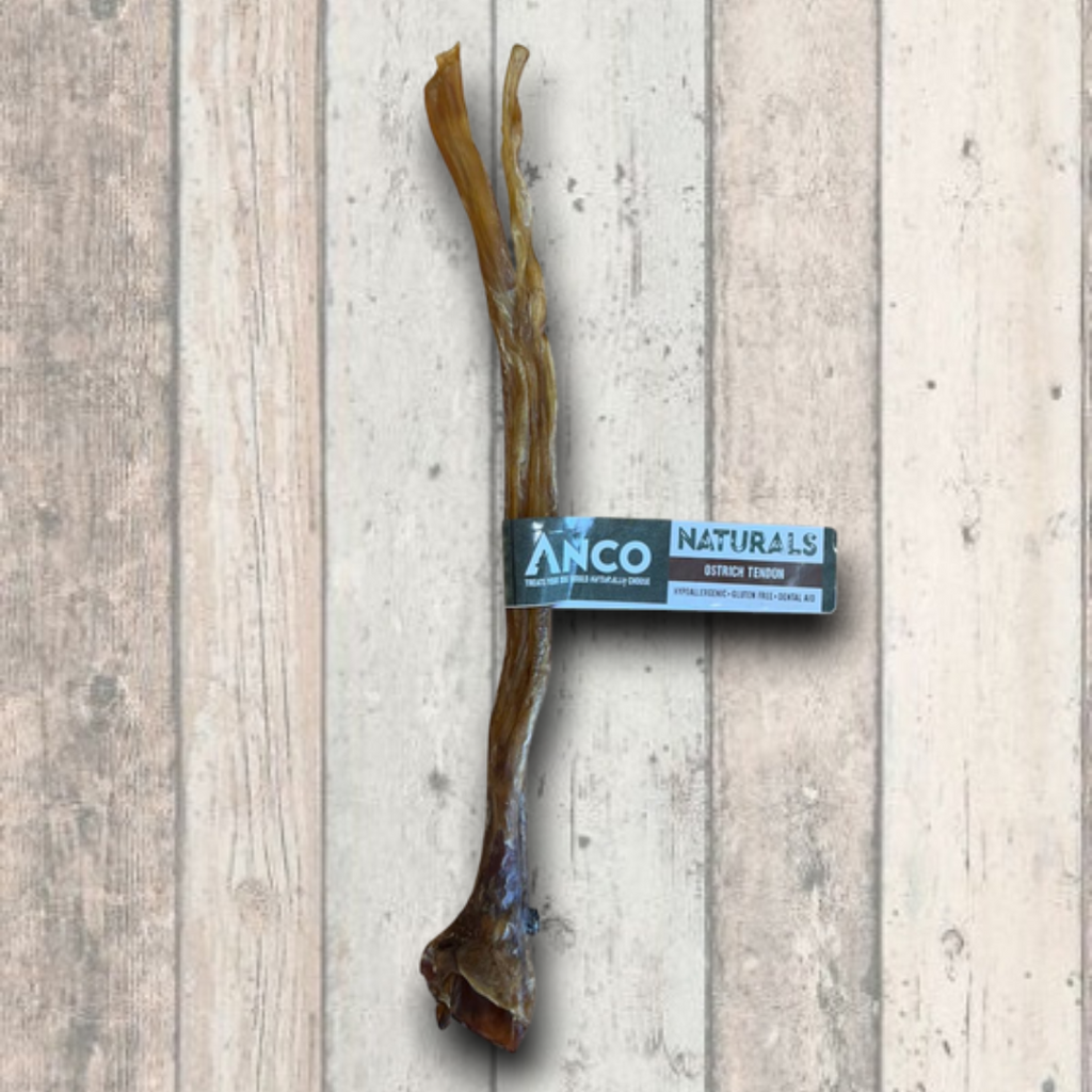 Anco Ostrich Tendon