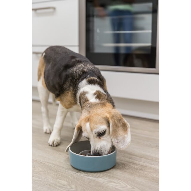 Trixie Slow Feeding Ceramic Bowl for Dogs