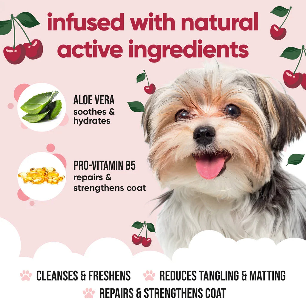 Buddycare Black Cherry Shampoo for Dogs