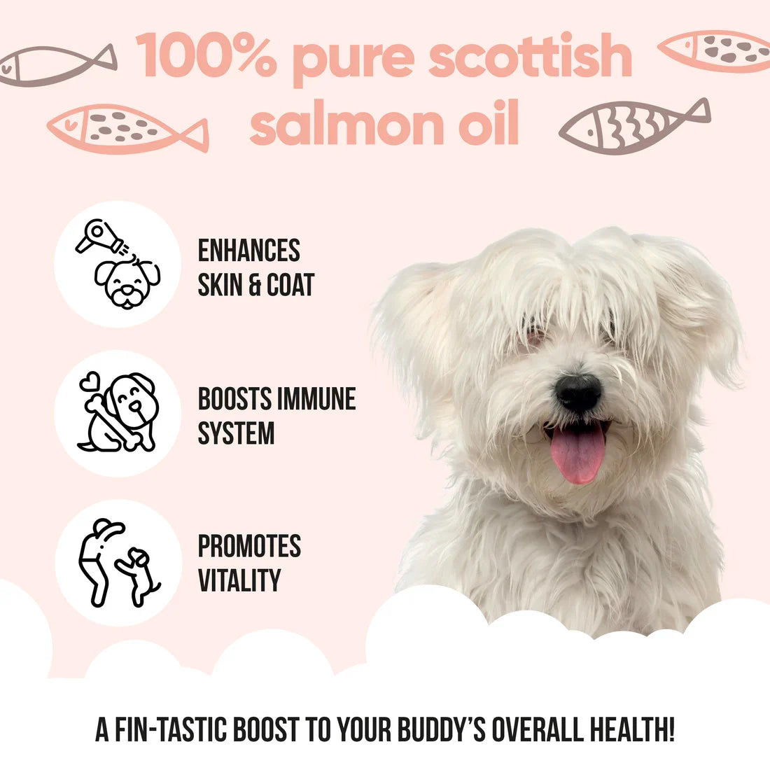 Buddycare Salmon Oil for Dogs