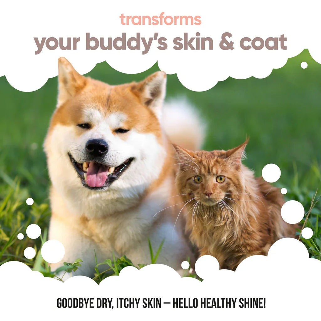 Buddycare Salmon Oil for Dogs