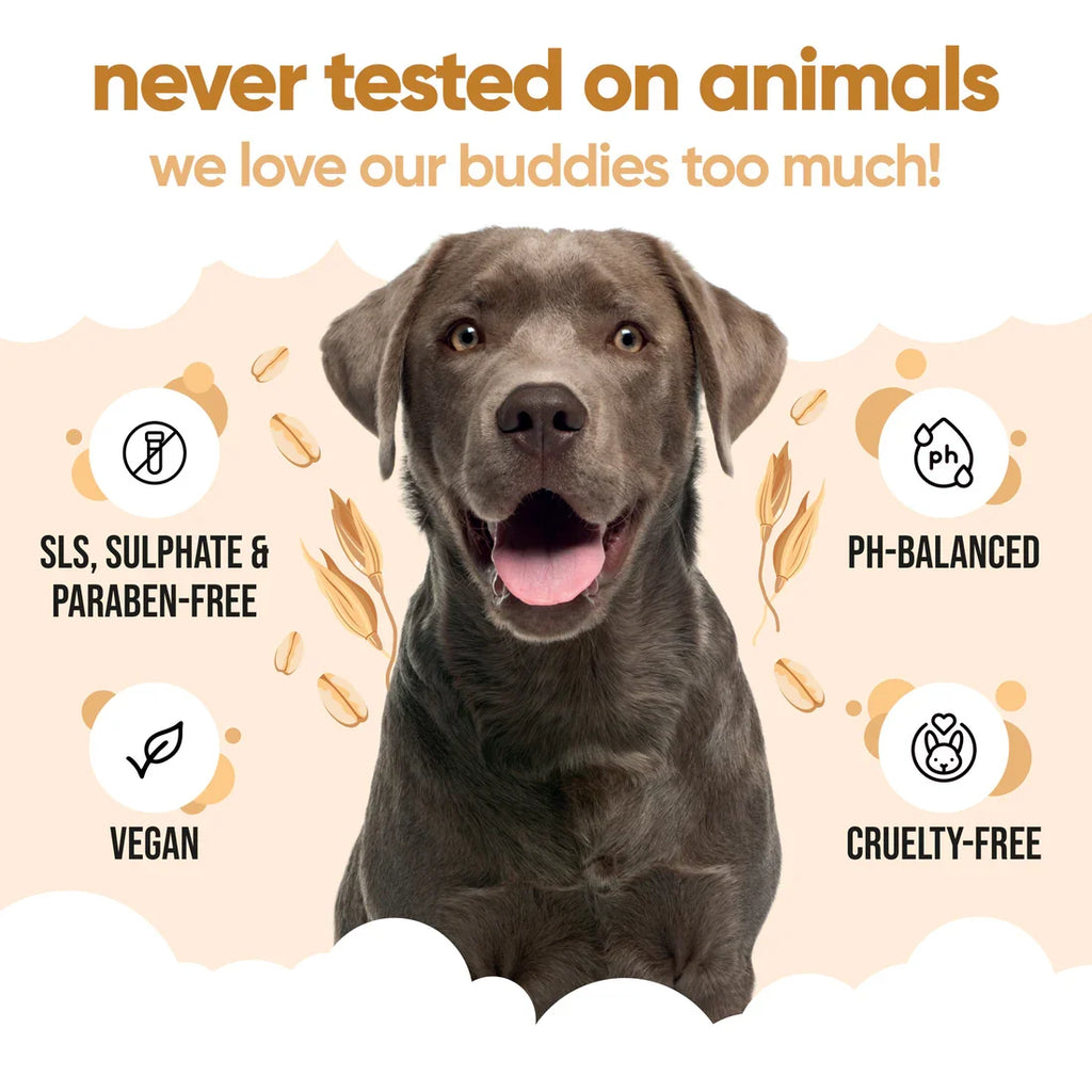 Buddycare Oatmeal Dog Shampoo