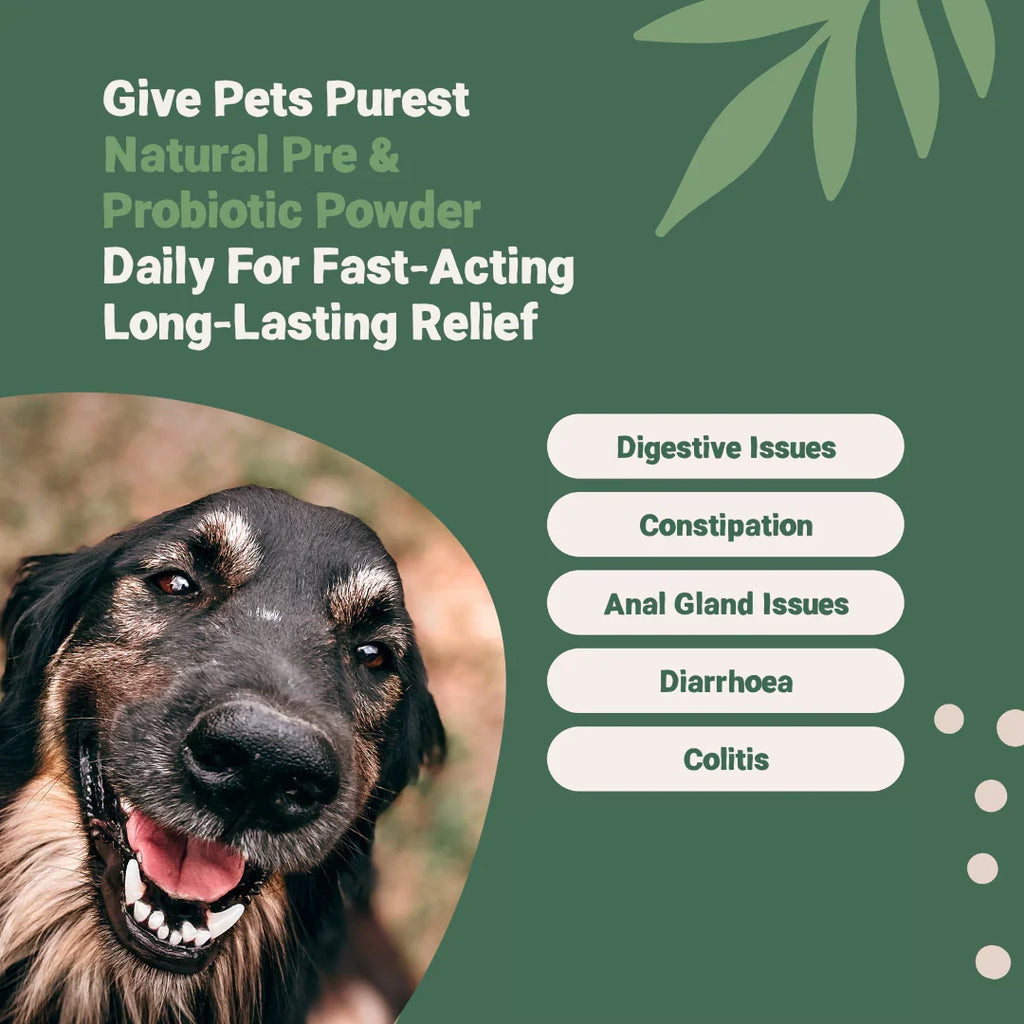 Pets Purest Prebiotic and Probiotic Digestive Powder