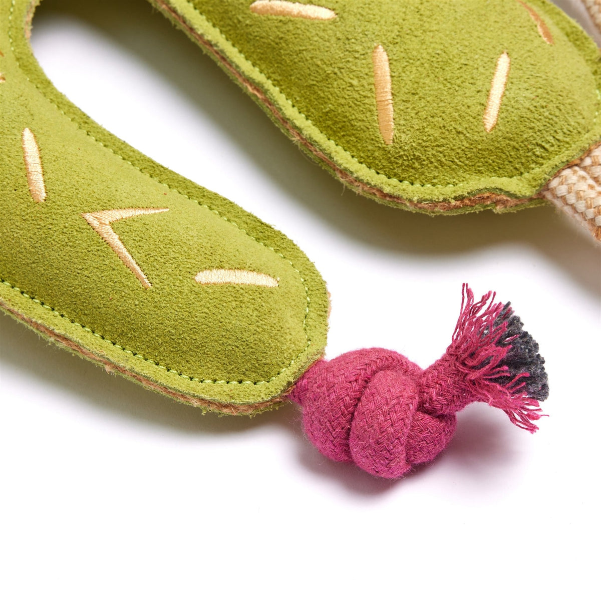 Green & Wilds Prickly Pam Eco Dog & Horse Toy