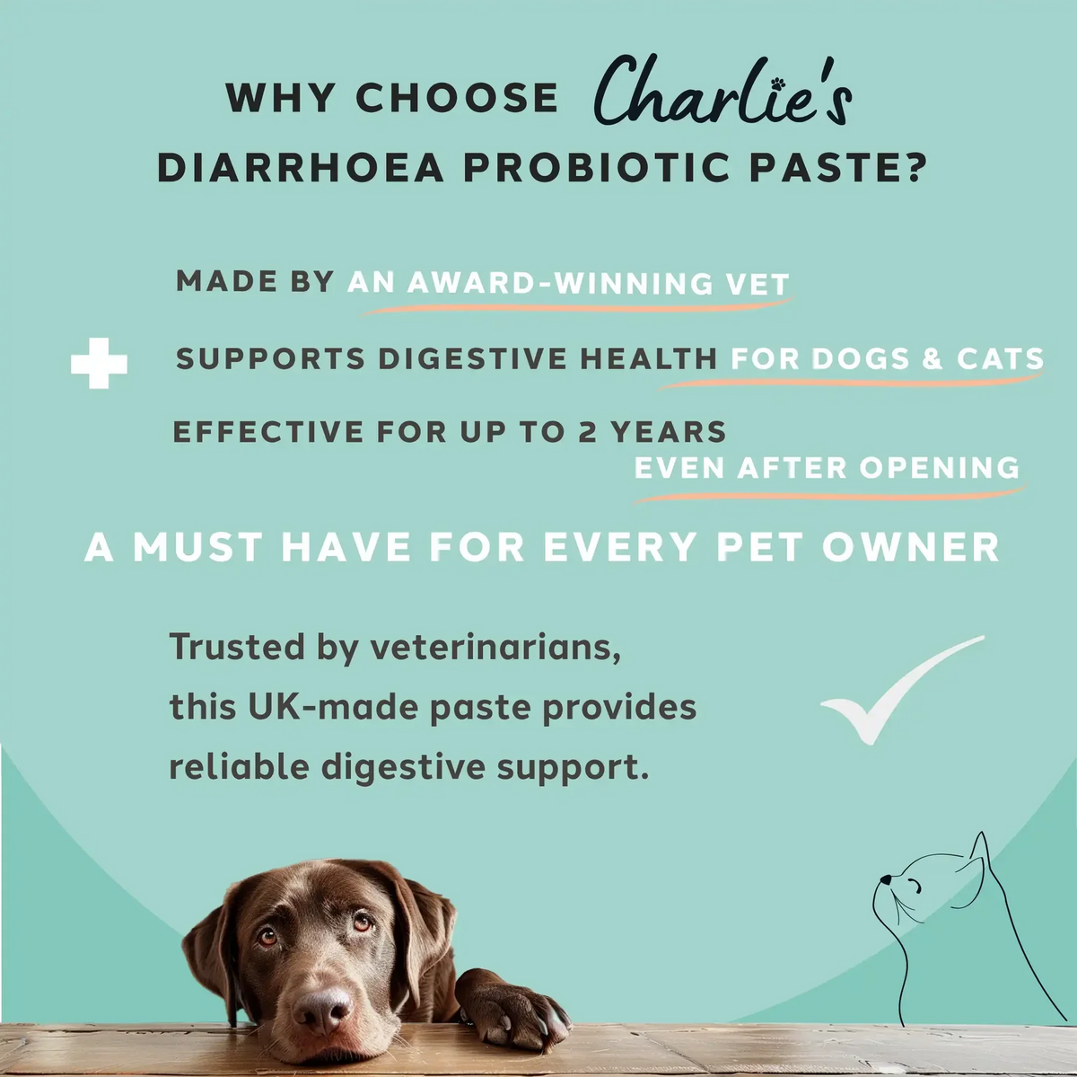 Charlie The Vet Diarrhoea Care Probiotic Paste