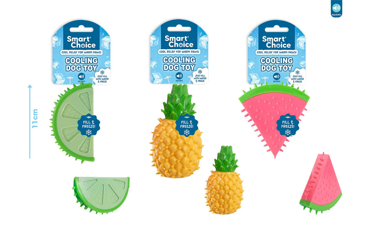 Smart Choice Summer Cooling Fruit Rubber Toy