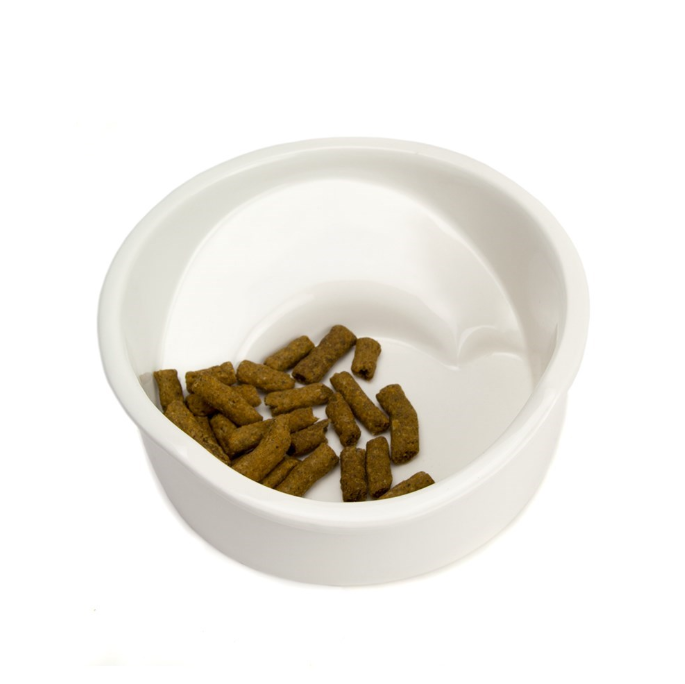 Great&Small Ceramic Flat Nosed Dog Bowl