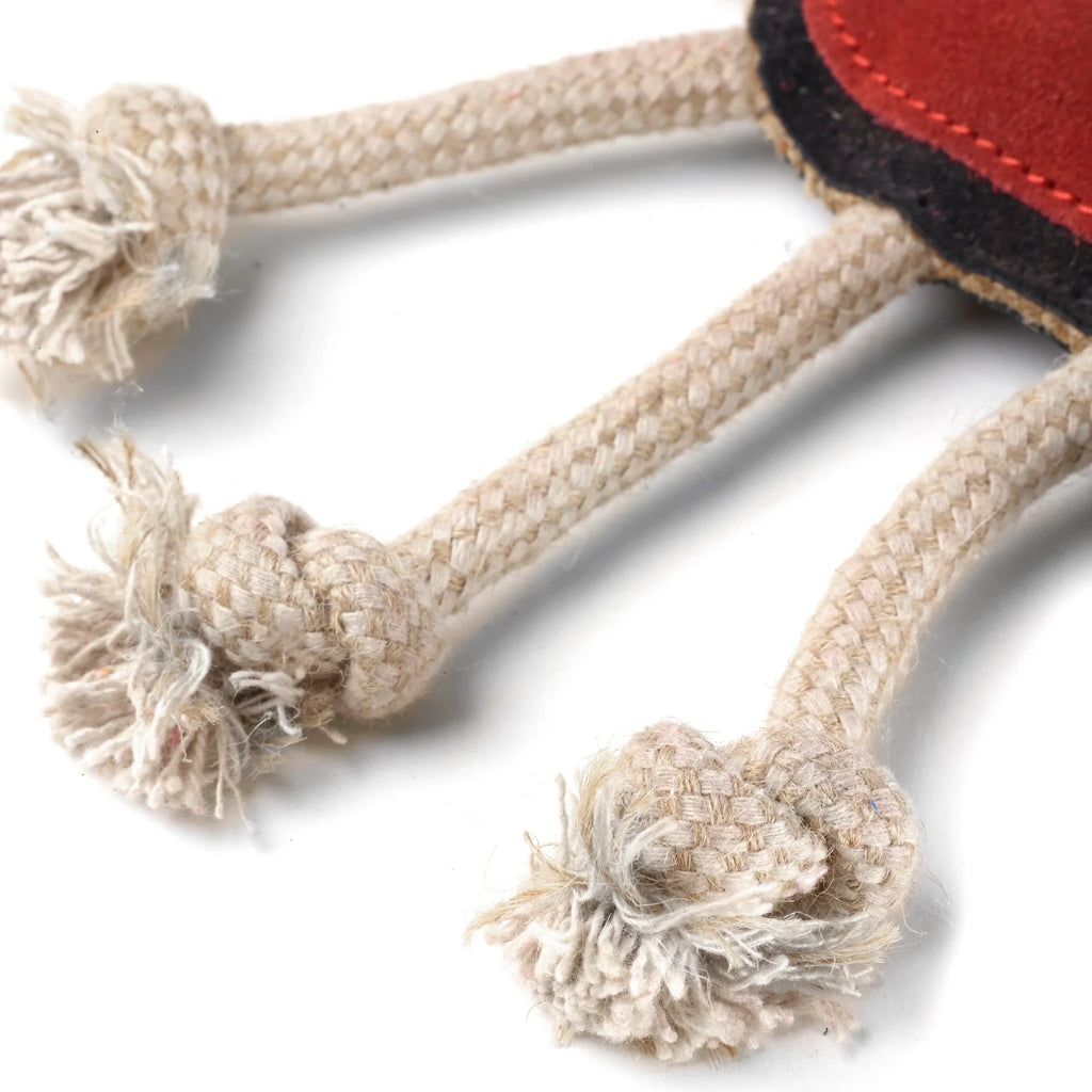 Green & Wilds Spike the Spider Eco Toy