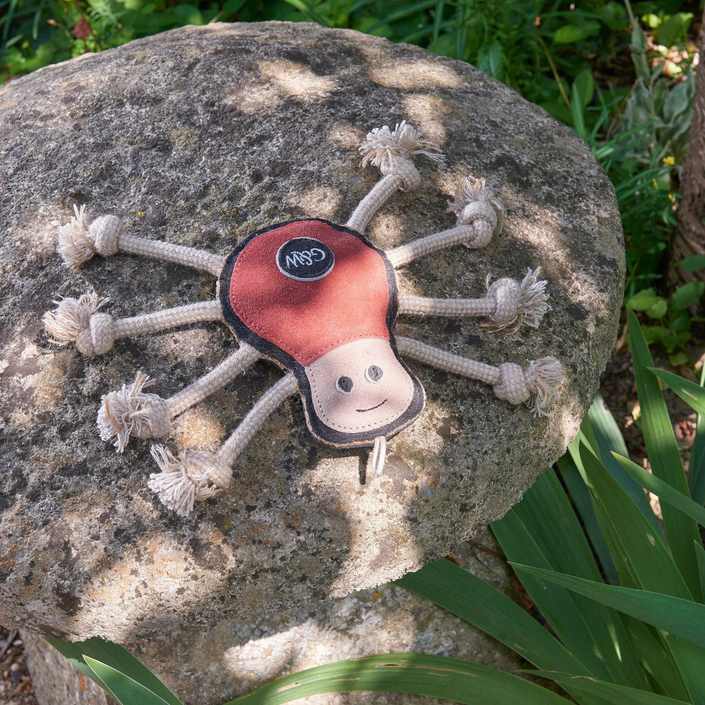 Green & Wilds Spike the Spider Eco Toy