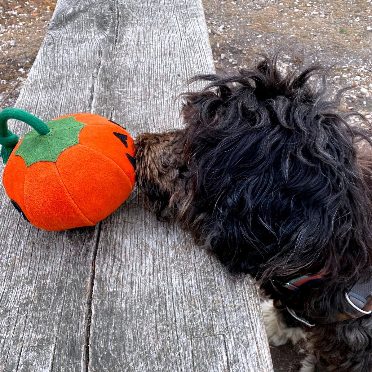 Green & Wilds Patch the Pumpkin Eco Dog Toy