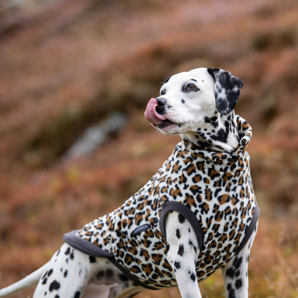 Wild Animal Print Fleece Jumper for Dogs
