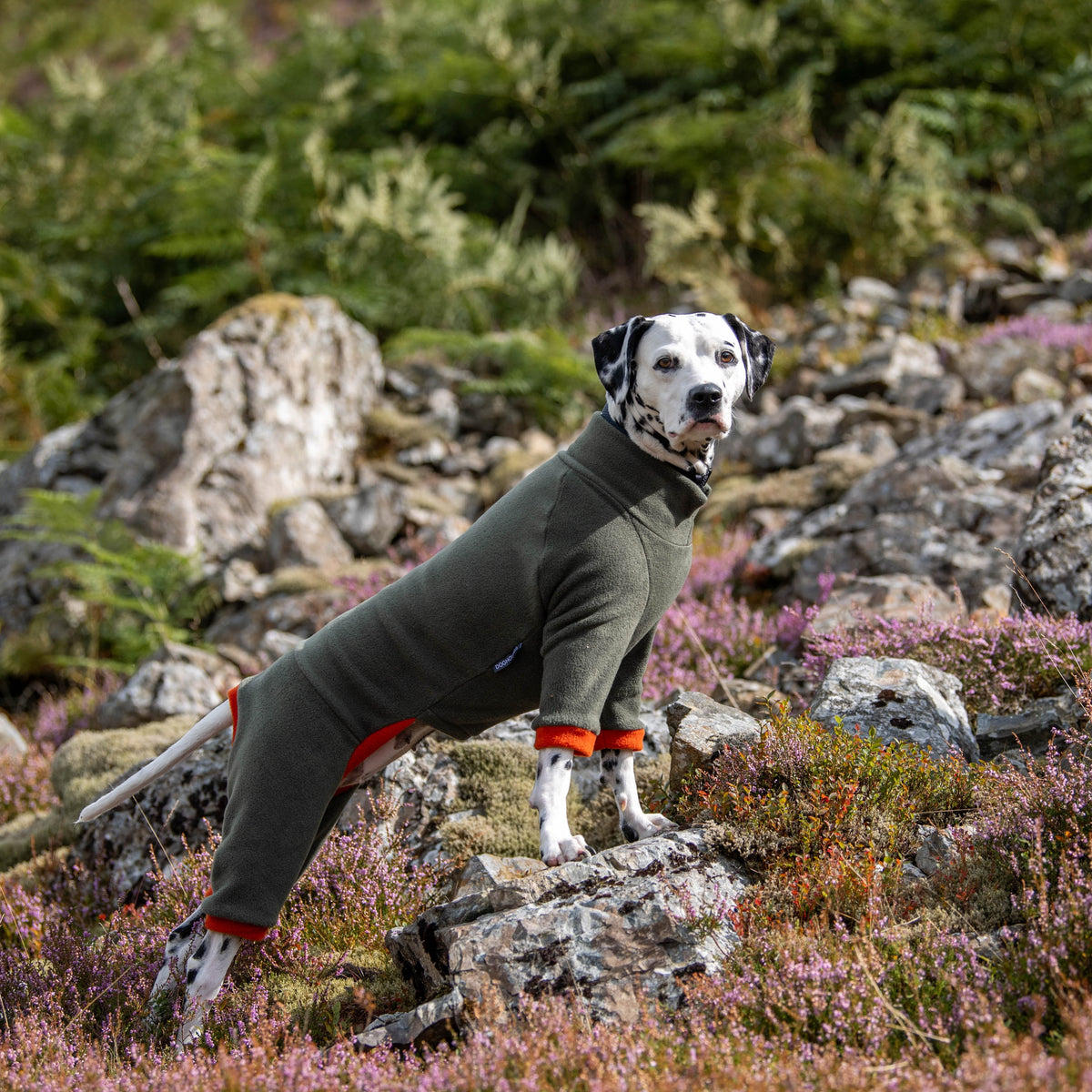 Dog Fleece Winter Suits with 4 Legs