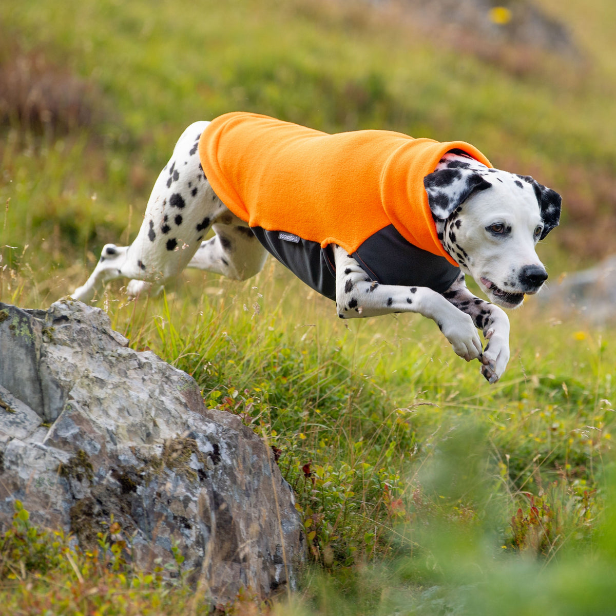 Dog Fleece Jumper with Waterproof Belly Panel