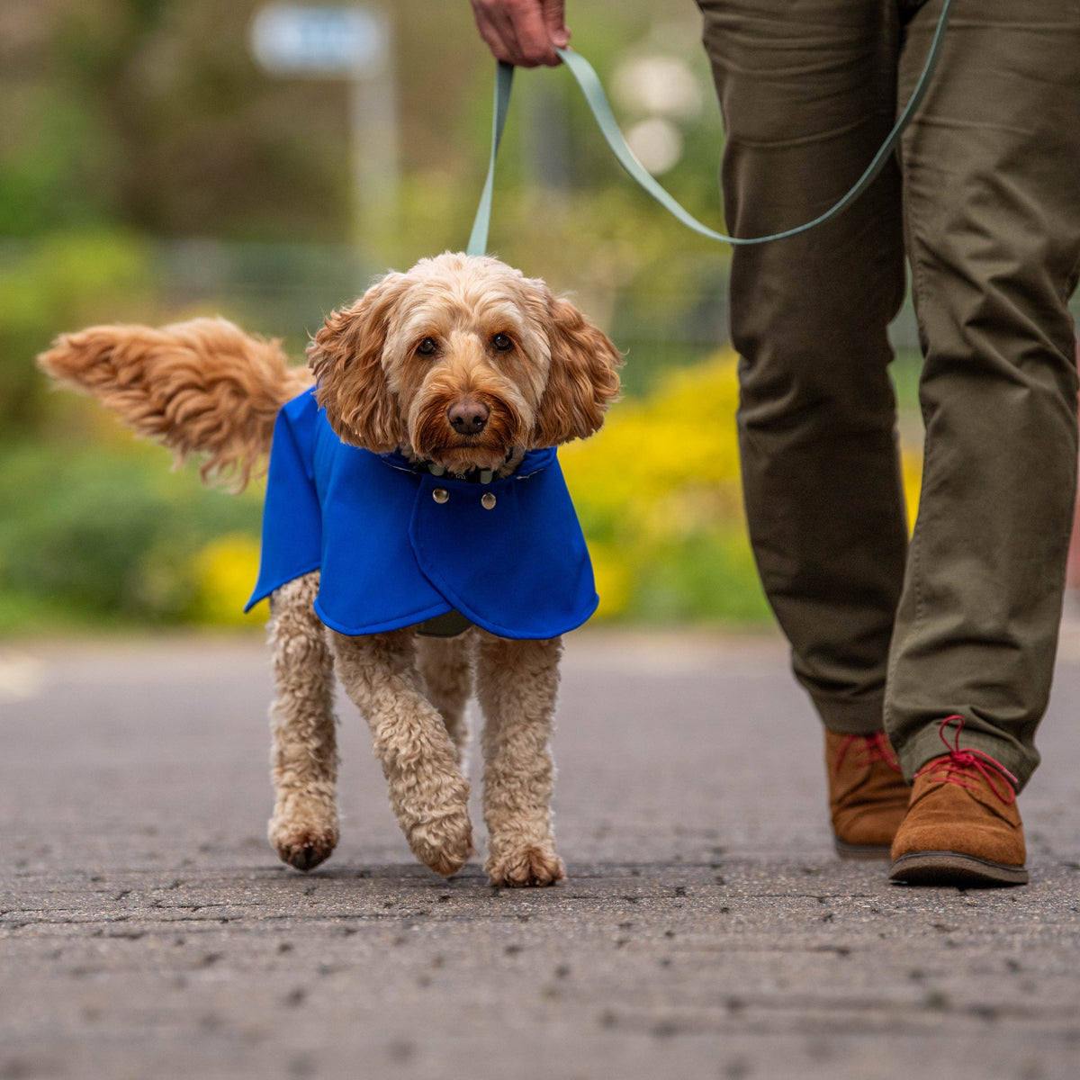 Pawliora Waterproof Coat for Dogs