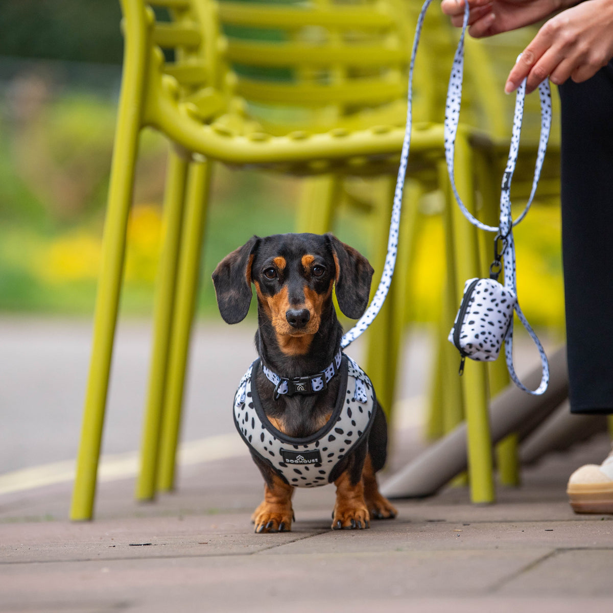 Pawliora Everyday Poop Bag Holders