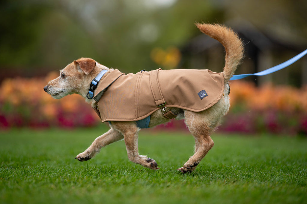Pawliora Waterproof Coat for Dogs