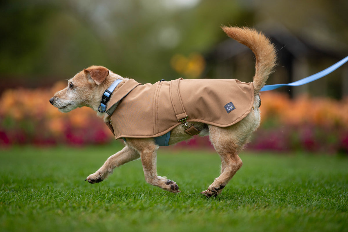 Pawliora Waterproof Coat for Dogs
