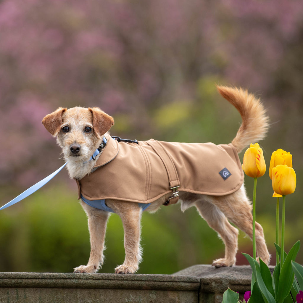 Pawliora Waterproof Coat for Dogs
