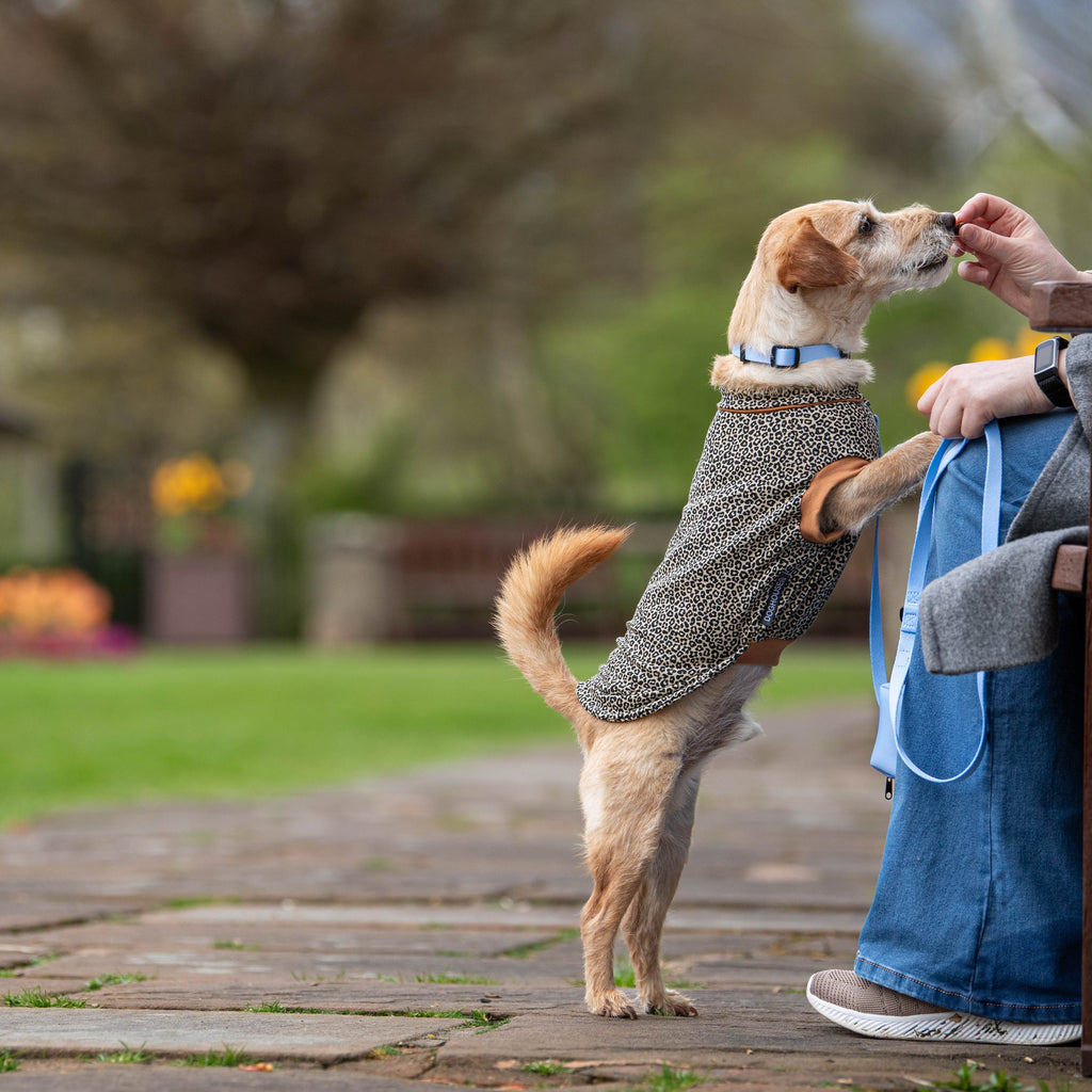 Pawliora Everyday Poop Bag Holders
