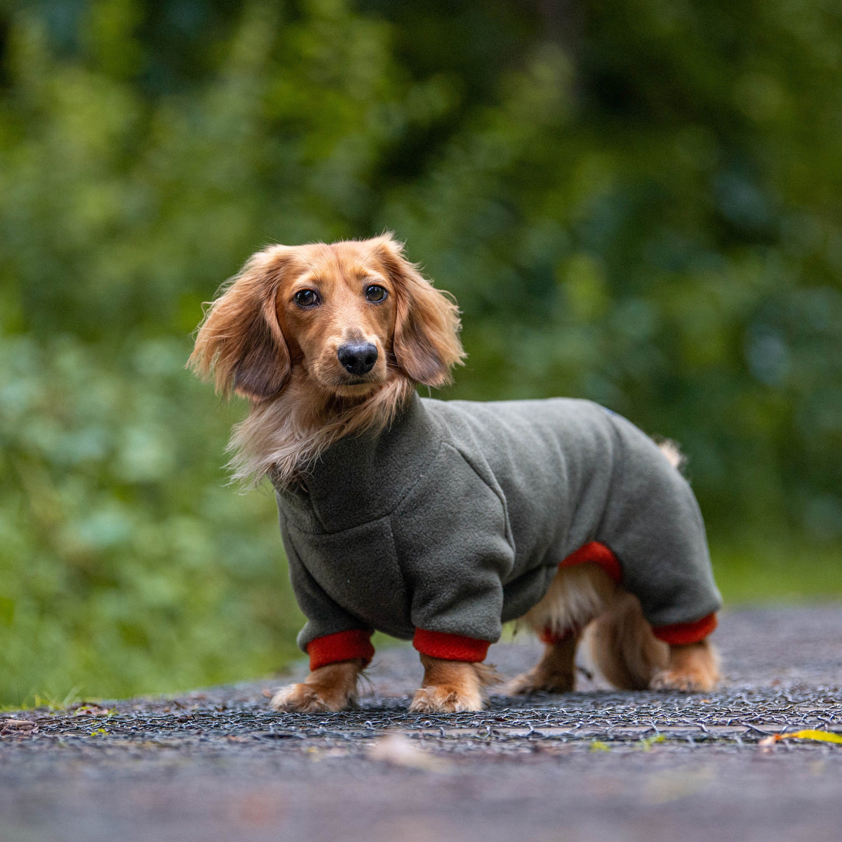 Dog Fleece Winter Suits with 4 Legs
