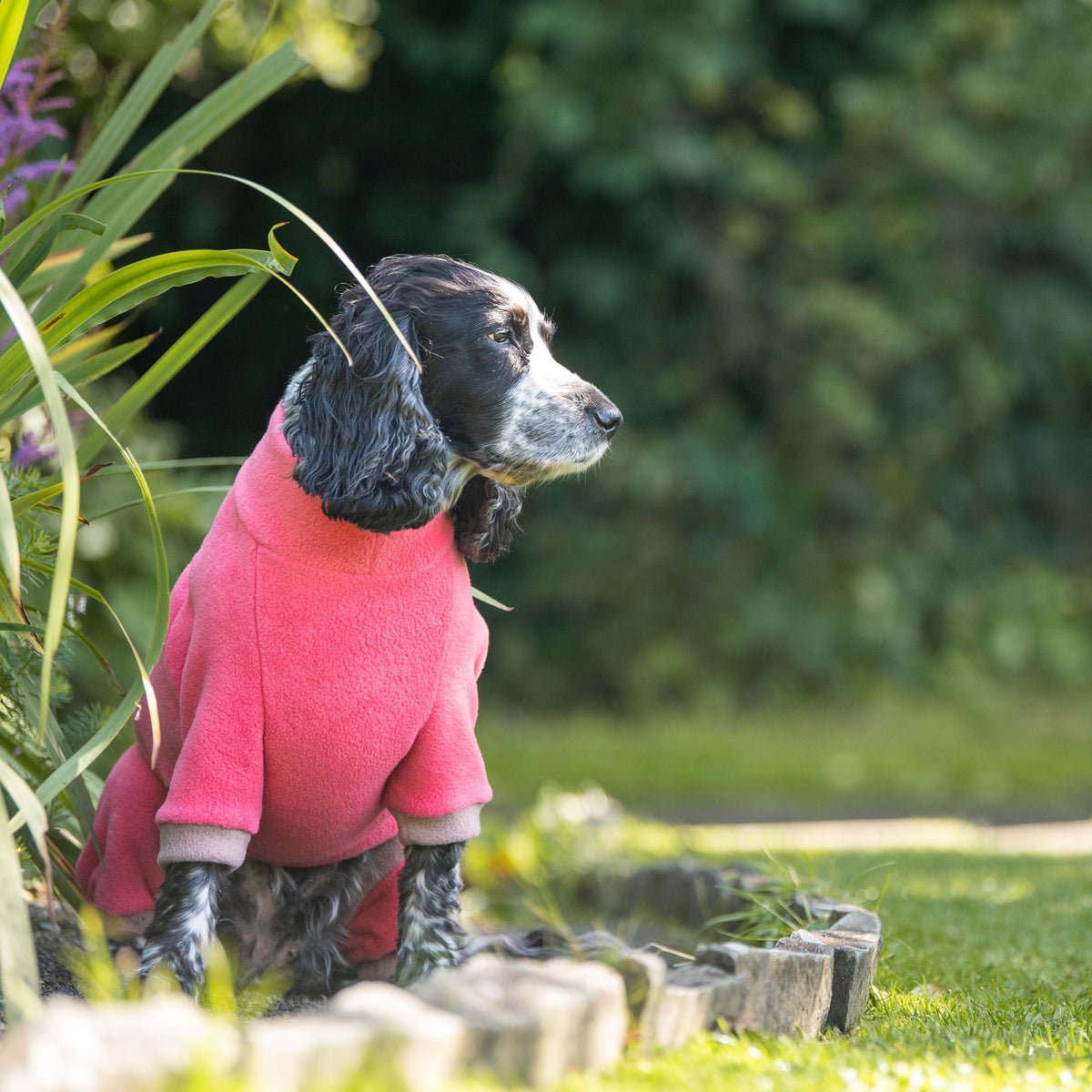Dog Fleece Winter Suits with 4 Legs