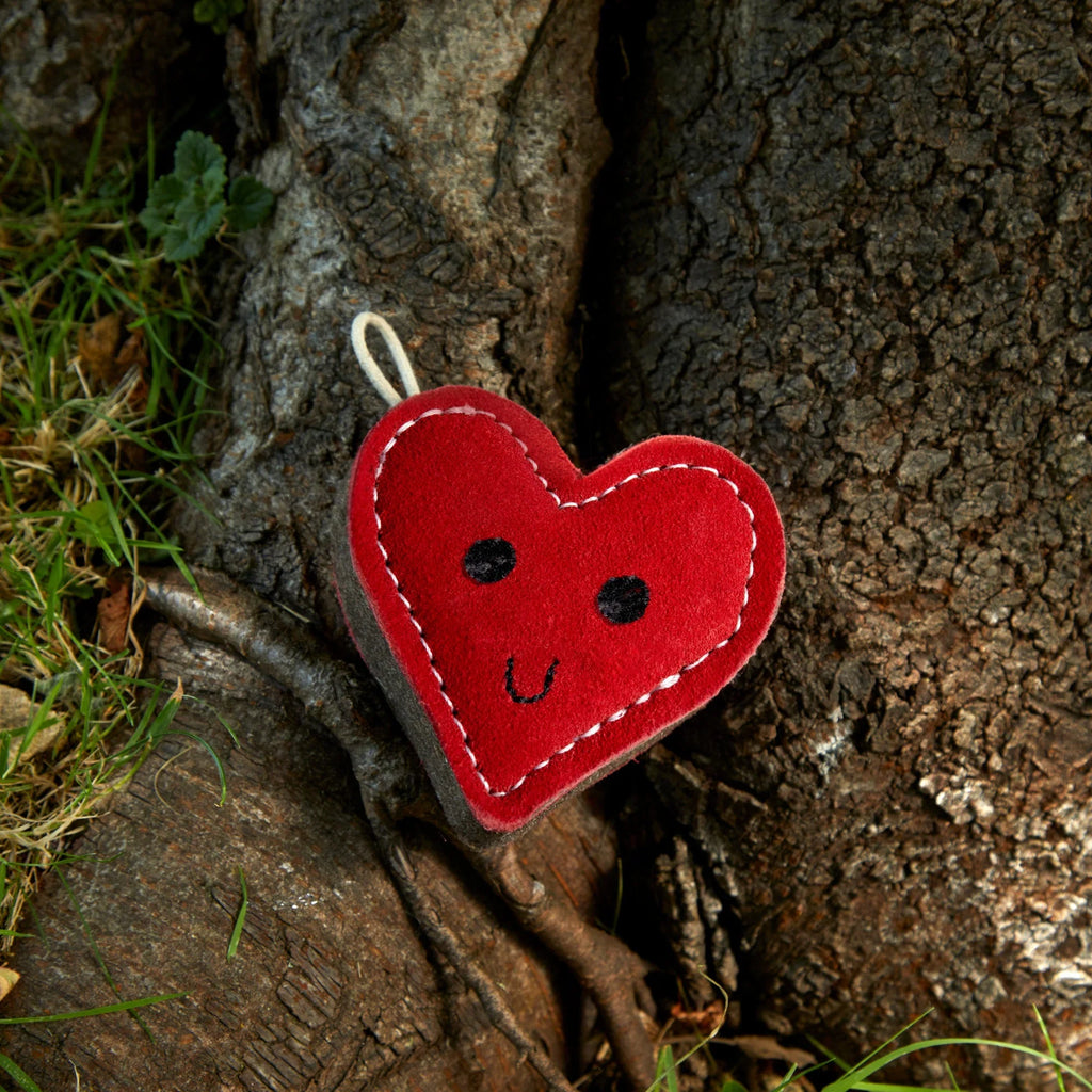 Green & Wilds Trudy True Love Eco Dog Toy