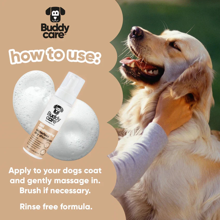 Buddycare Waterless Dry Shampoo 2 in 1 Shampoo and Conditioner