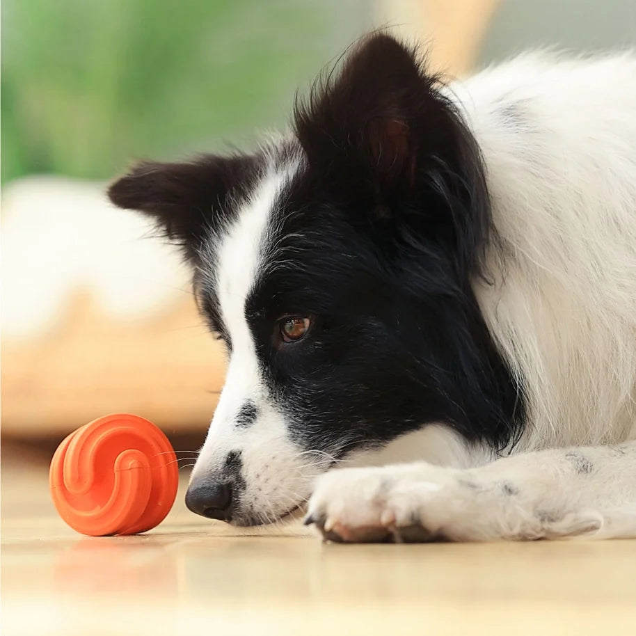 Chewtastic Geometric Rubber Geo-Hex Orange Dog Toy