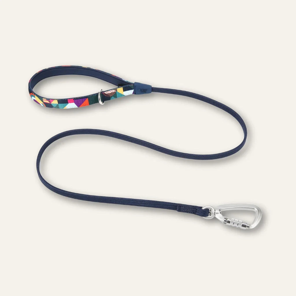 Twiggy Tags Bungee Lead for Dogs