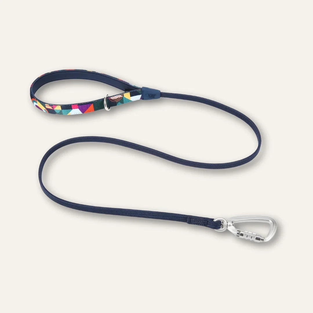 Twiggy Tags Bungee Lead for Dogs