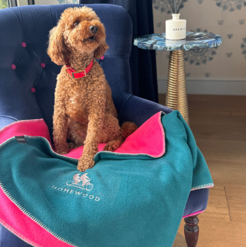 Hotel Starter Pack for Dog Friendly Hotels