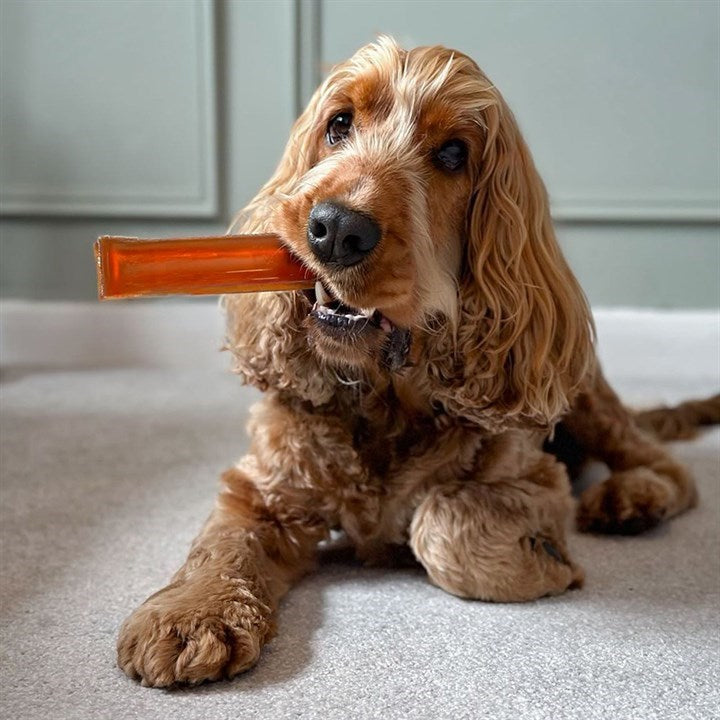 Brothies Dog Chews