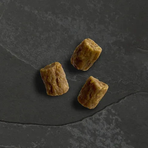 Canagan Chicken and Pork Wild Bites