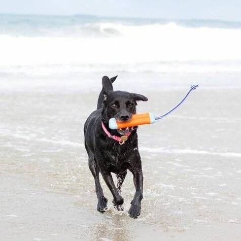 Chuckit Amphibious Bumper