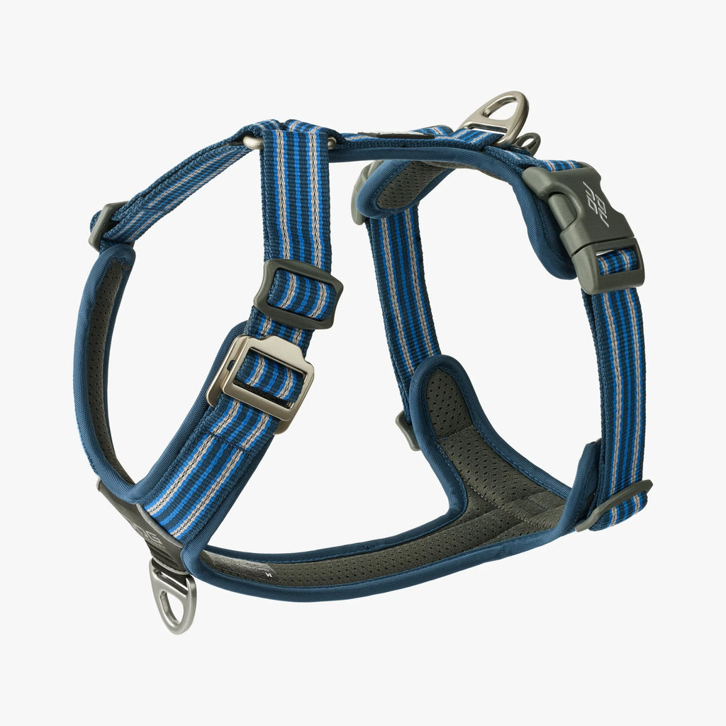 DOG Copenhagen Comfort Walk Air Harness