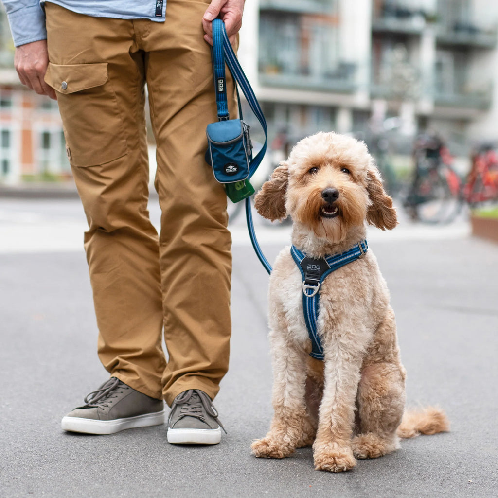 DOG Copenhagen Comfort Walk Air Harness