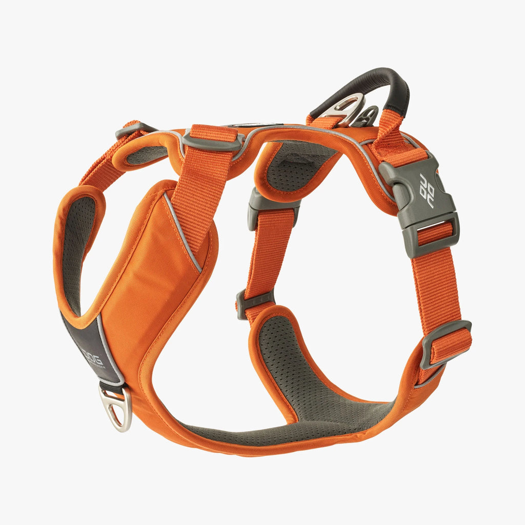 DOG Copenhagen Comfort Walk Pro Harness
