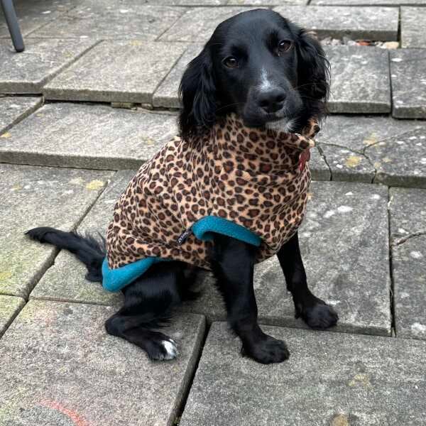 Wild Animal Print Fleece Jumper for Dogs
