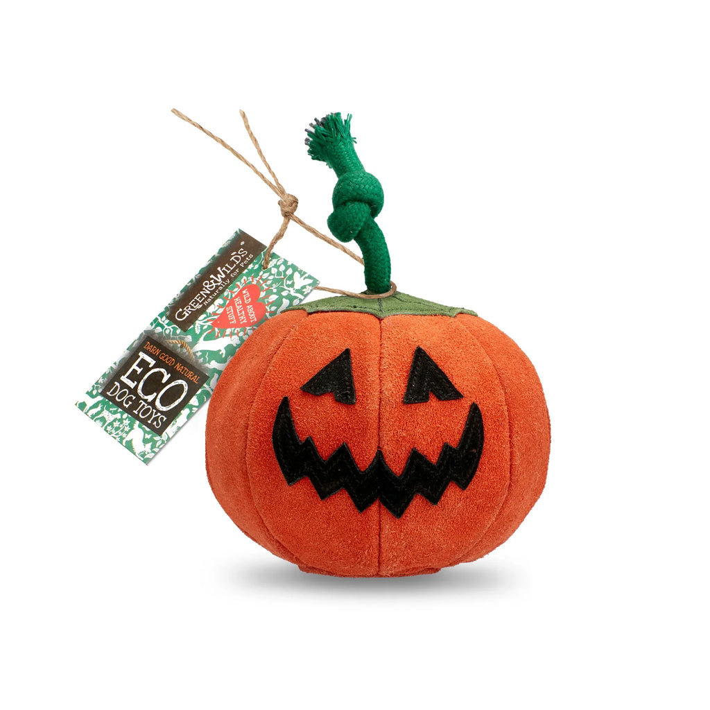 Green & Wilds Patch the Pumpkin Eco Dog Toy
