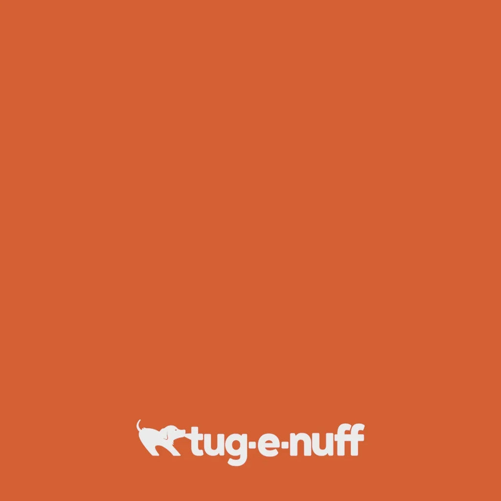 Bob the 3-in-1 Dummy Training Toy by Tug-e-Nuff