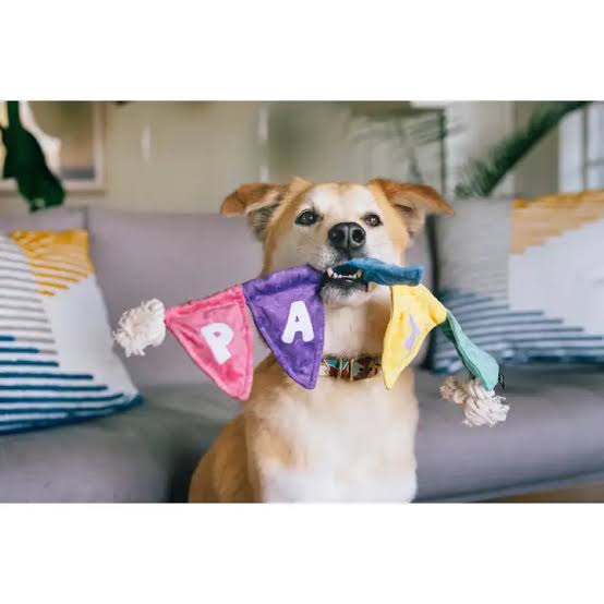 P.L.A.Y Party Bunting Dog Toy