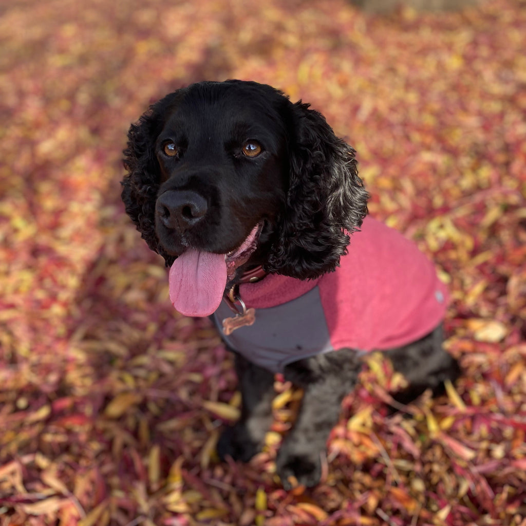 Dog Fleece Jumper with Waterproof Belly Panel
