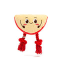 Edam Cheese Dog Toy with Rope Legs