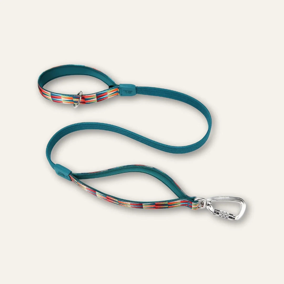 Twiggy Tags Bungee Lead for Dogs
