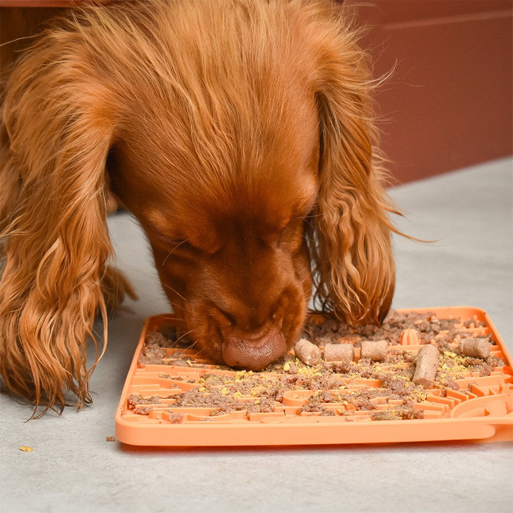Great & Small Slow Down Arizona Silicone Snack Pad