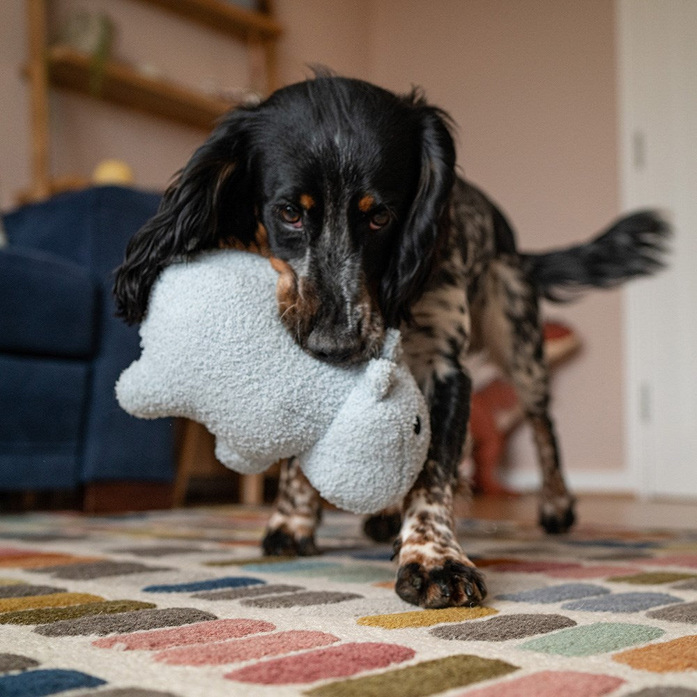 Stay Wild Plush Dog Toys