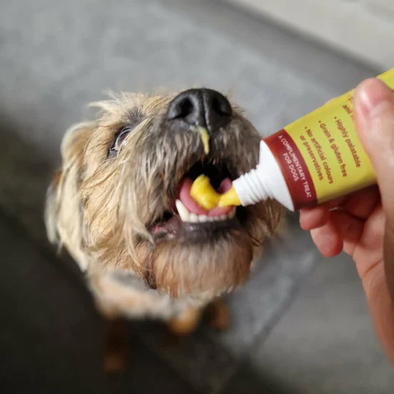 JR Cheese Paste for Dogs