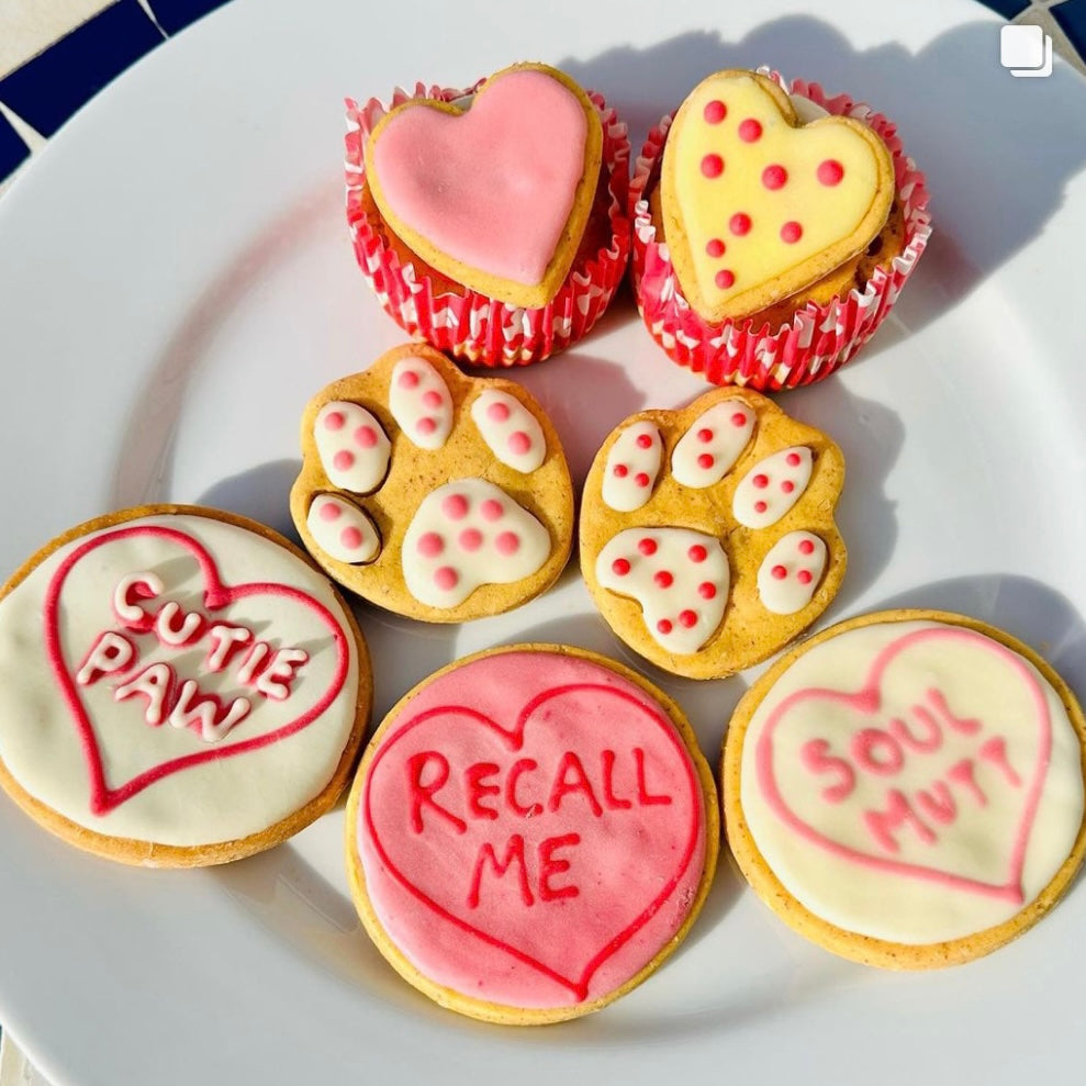 Paw Print Biscuits for Dogs